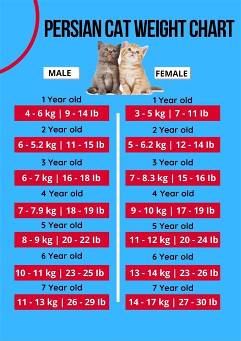 cat weight chart by age and height in kg ibs ⚖