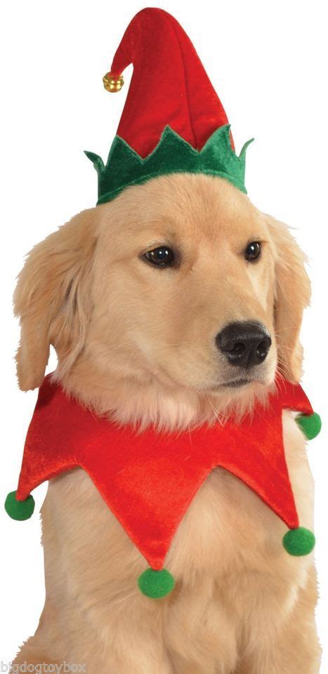 Elf Hat Christmas Elf And For Dogs On Pinterest