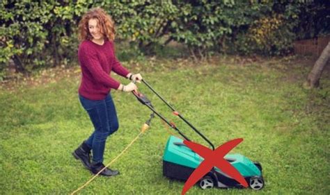 No Mow May 2021 The 3 Benefits Of Not Mowing Your Lawn This Month