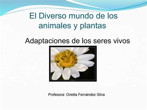 la fauna y la flora diapositivas