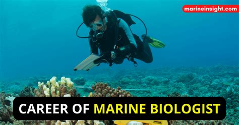 Choosing The Career Of Marine Biologist