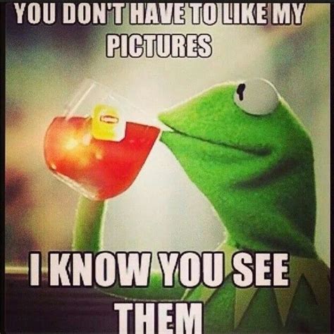 330 Best Kermit Sayings Images On Pinterest Jokes Quotes Hilarious
