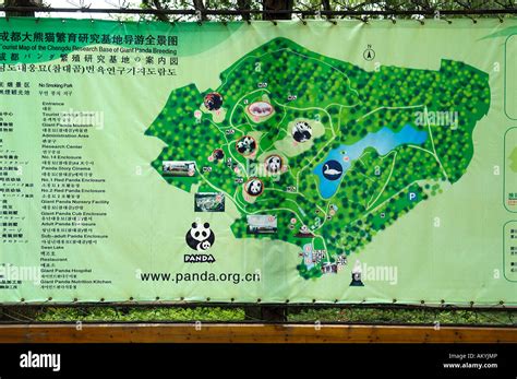 Map Panda Breeding Station Near Chengdu China Asia Stock Photo Alamy