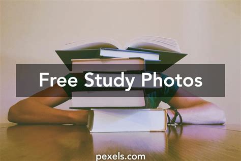Free Stock Photos Of Study · Pexels