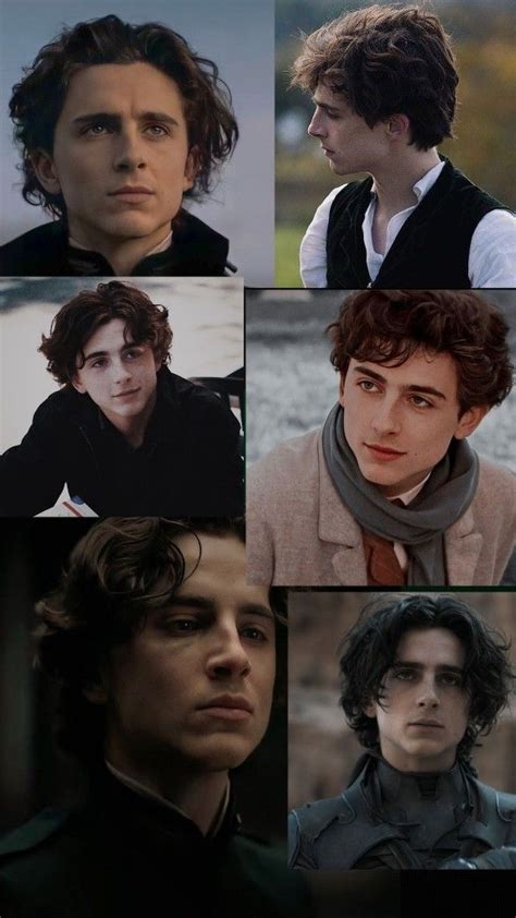 Regulus Black Wallpaper Regulus Black Harry Potter Timothee Chalamet