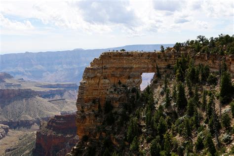 Woman Almost Falls Into Grand Canyon While Taking A Photo