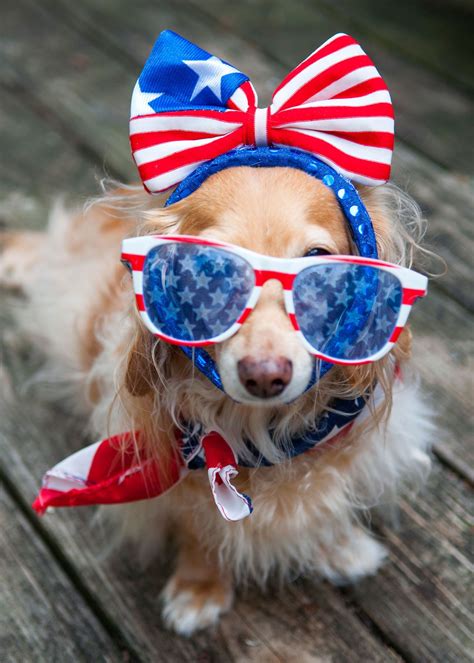 18 Photos That Will Get You So Excited For The Fourth Of July Weekend