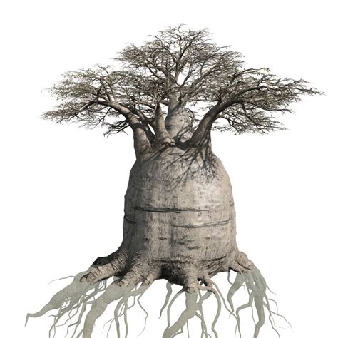 Baobab Field Australian Speedtree