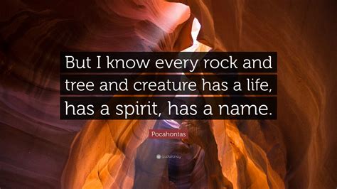 Since then i have received maybe close to 100 emails and phone calls from people asking how they can find out of they are related to her as well. Pocahontas Quote: "But I know every rock and tree and ...