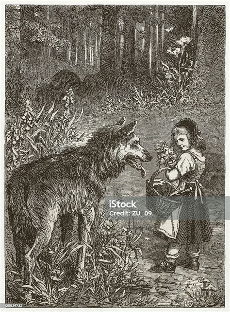 Little Red Riding Hood Wood Engraving Published In 1873 Stok Vektör Sanatı And Kırmızı Başlıklı