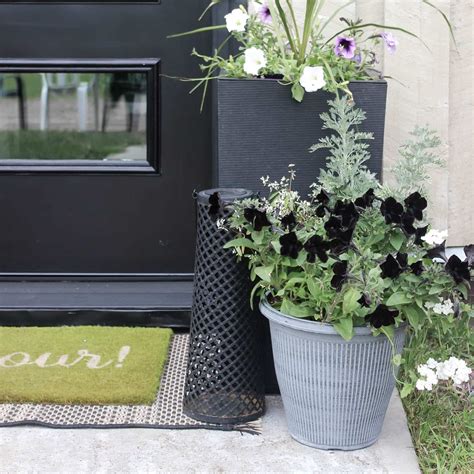 7 Budget-Friendly Ways to Add Curb Appeal to Your Front Entry | Curb appeal, Diy curb appeal 