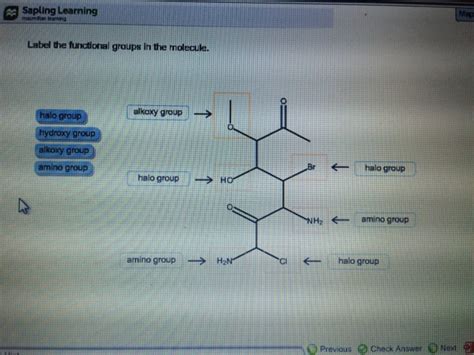 Solved Label The Functional Groups In The Molecule