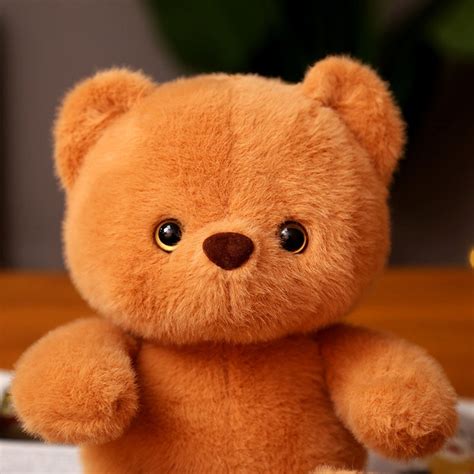Super Kawaii Teddy Bear My Heart Teddy