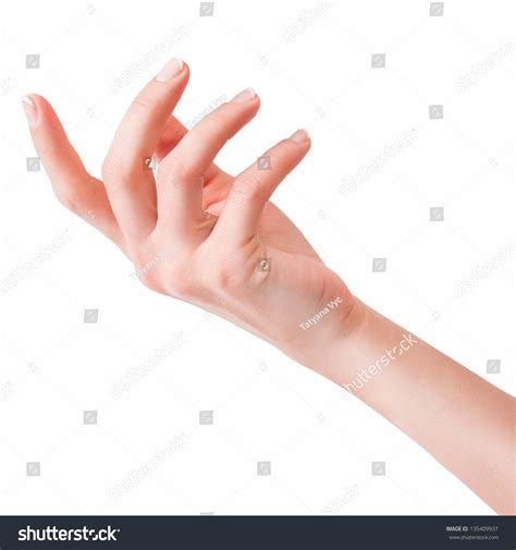 Beautiful Womans Hand Palm Up Isolated Stock Photo 135409937 Shutterstock