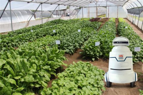 Avances Tecnológicos En La Agricultura Tecnologías Innovadoras