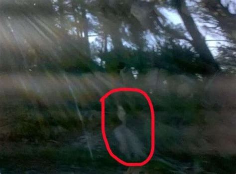 for real mysterious entities caught on camera that take creepy to a whole new level stomp