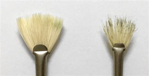 Beginners Guide Types Of Oil Painting Brushes Ran Art Blog In 2023