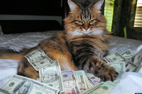 107 cat with money stock illustrations and clipart. 'Cash Cats' Photo And Art Show Flaunts Hip Trifecta Of Money, Guns, LOLz (PHOTOS) | HuffPost