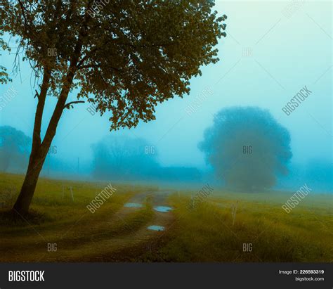 Havy Wet Foggy Autumn Image And Photo Free Trial Bigstock
