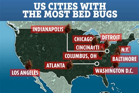 Medaile Předpoklad Špatná Víra Bed Bugs World Map Blikat Podporovat Antický