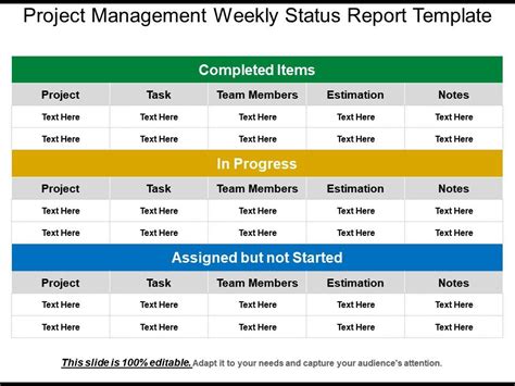 Weekly Progress Report Template Project Management Templates Example