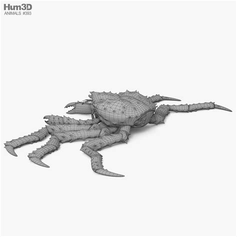 Red King Crab Hd 3d Model Animals On Hum3d