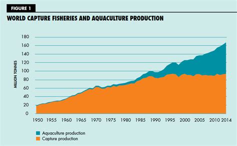The State Of The World Fisheries And Aquaculture 2016 — Francisco Blaha