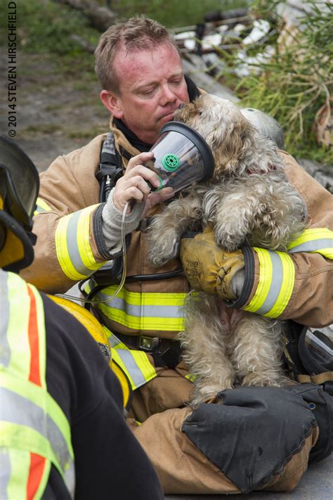 Hund Rettet Welpen Feuerwehrauto