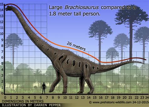 Brachiosaurus Sauropod