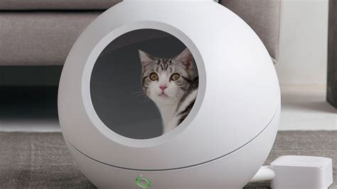 Best Cat Bed 2020 Fun Comfy And Practical Choices For