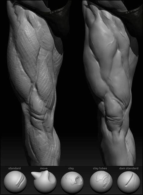 Top D Modeling Tips Zbrush
