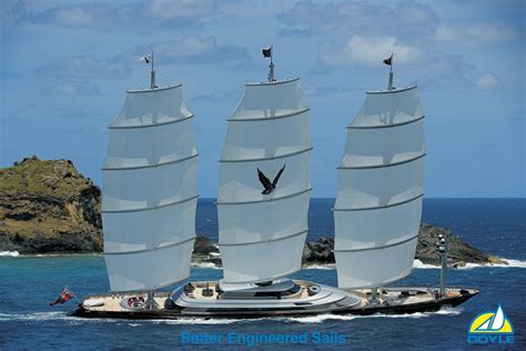 The Maltese Falcon Sailing Yacht Sailing Yacht