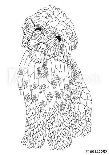 Your mini goldendoodle can get different coat colors depending on the parent breeds. Kleurplaat Mandala Hondje