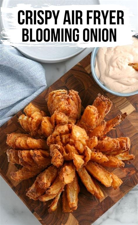 Top 15 Blooming Onion Air Fryer 15 Great Recipe Compilations