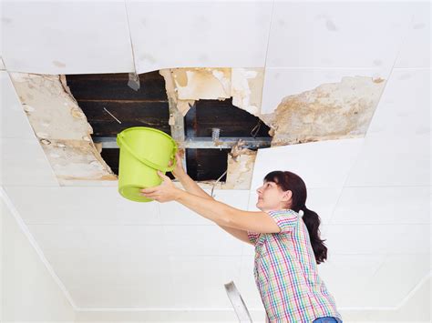 Or you want to learn how to fix your leaking roof yourself? Storm Season Is Here - Leaking Roof Repair Tips For Sydney