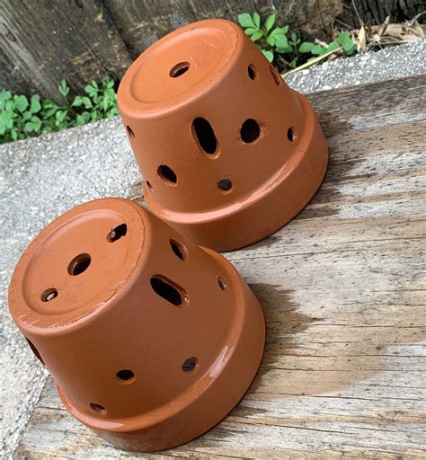 5 Clay Orchid Pot With Holes Etsy
