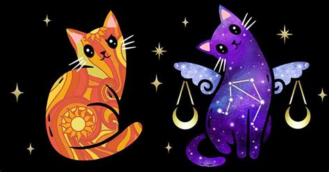 Moonstruck Artist From Jersey Creates Cat Zodiac Signs