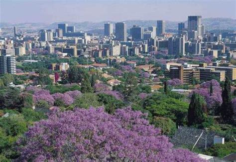 10 Interesting Gauteng Facts | My Interesting Facts