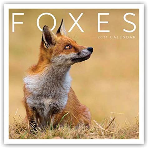 Foxes Fuchs Füchse 2021 Original Carousel Kalender Mehrsprachig