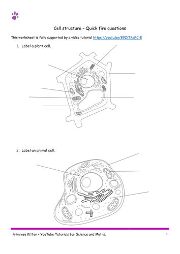 We did not find results for: CELL STRUCTURE. AQA B1-Topic 1 Quick Fire Questions. 9-1 ...