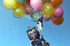gonzo muppet balloons wiki wikia