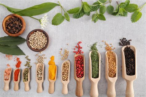 Stock Up On These 12 Healing Herbs And Spices That Boost Flavor And Your Overall Well Being