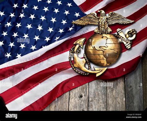 Marine Eagle Globe And Anchor With American Flag Background Stock