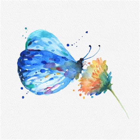 Butterfly And Flower Watercolor Clipart Png Beautiful Butterfly