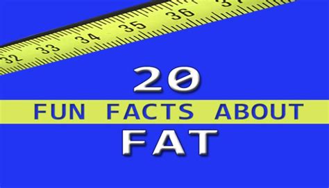 20 Fun Facts About Fat Trending In