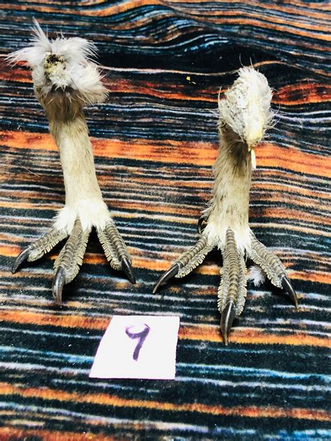 2 Grouse Feet Art Animal Mount Repair Witchcraft Voodoo Art Etsy