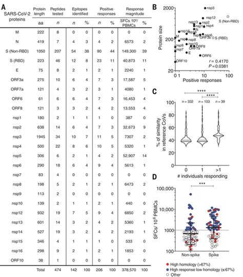 Selective And Cross Reactive Sars Cov 2 T Cell Epitopes In Unexposed