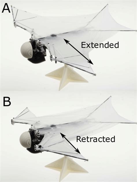 Then place bookcases in rows of 3 which should be 2 high. Robot Ornithopter Batbot - Inspiration For Wing Design How ...