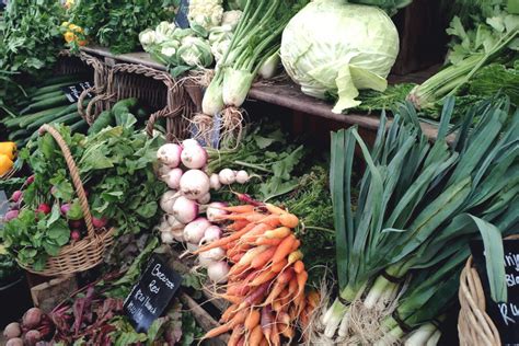 Ich habe sie lediglich anfang märz umgepflanzt, weil ich herbst nicht mehr dazu gekommen war und sie nun an einen neuen standort ziehen mussten. Kochen zohus! - Kochen mit saisonalen Zutaten - Geheimtipp ...