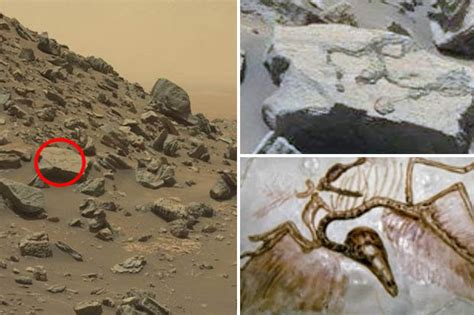 New Mars Photos Capture Fossil Evidence Of Martian Dinosaur On Red